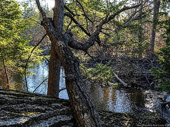 5th image of LOT 3 Gamble Rd