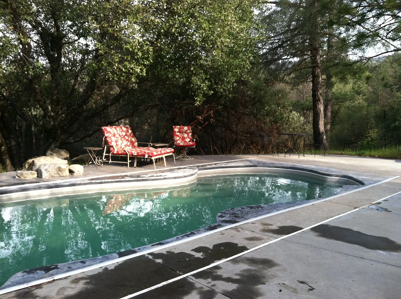 21768 Joyce Ct photo 1