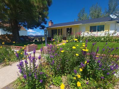 38 Emigrant St #58, Bridgeport, CA, 93517