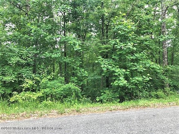 4th image of LOT 4 Shelby Shrs