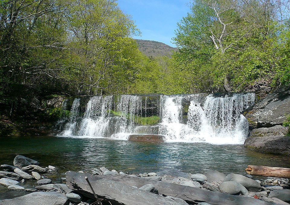 backyard waterfall