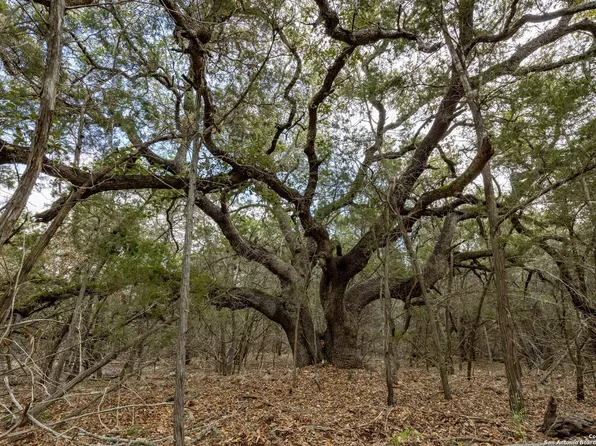 24519 RIPPLE WAY LOT 44, San Antonio, TX 78266