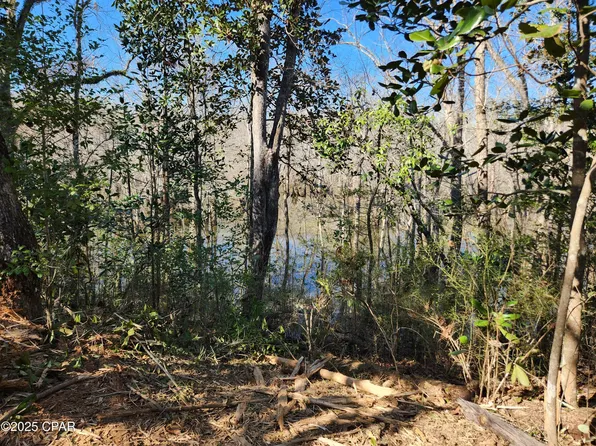 NW County Road 333, Bristol, FL 32321