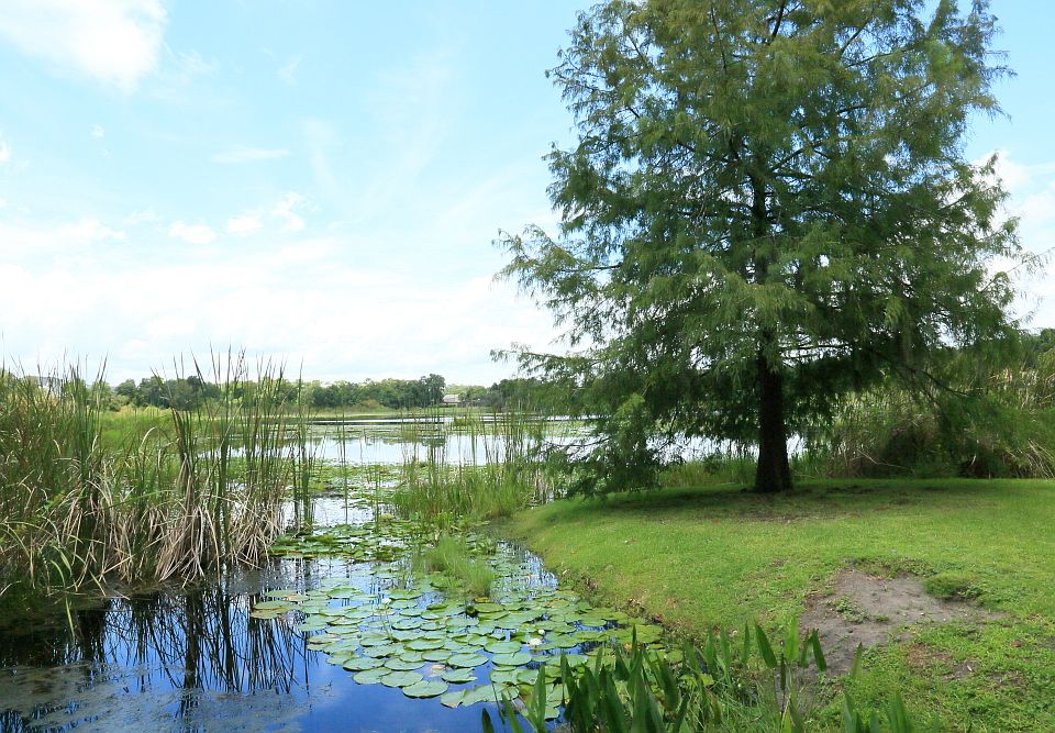 1st image of 540 Lake Faith Cir