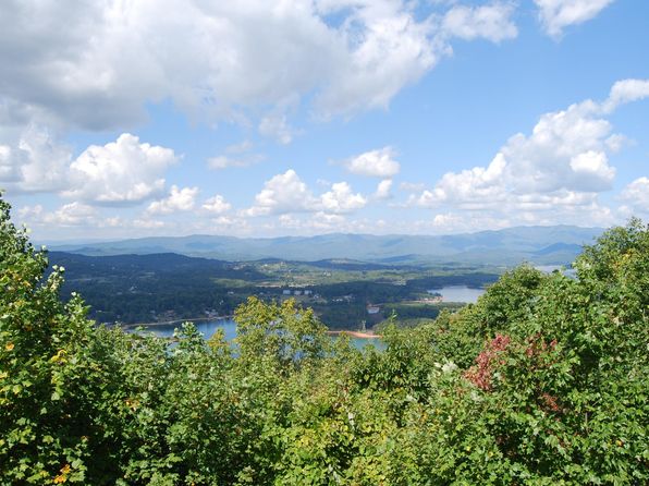 878 Locust Trl, Hiawassee, GA 30546