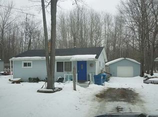 3821 Birchwood St, Beaverton, MI 48612