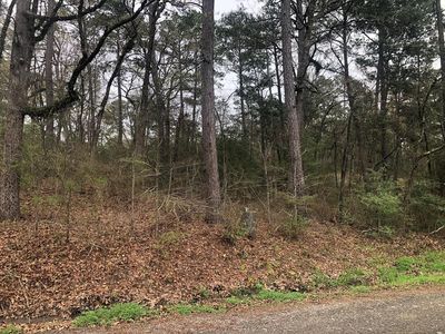 Lot 13 Cr 373, Broaddus, TX, 75929