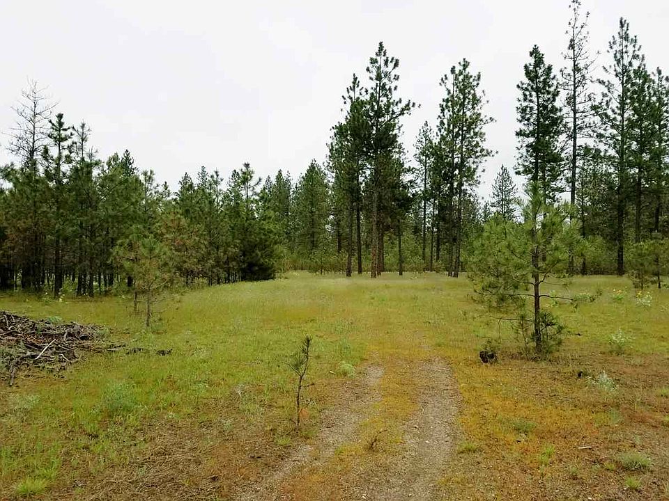 2nd image of 12367 Quail Run Way