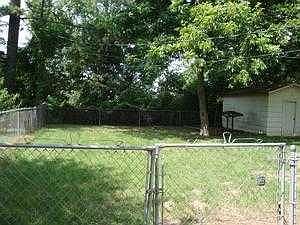 back yard