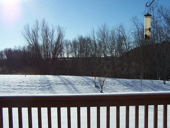 View from Deck over Pond
