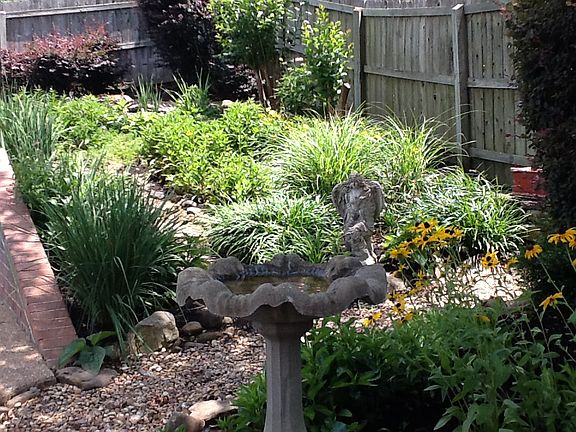 Four season perennial garden
