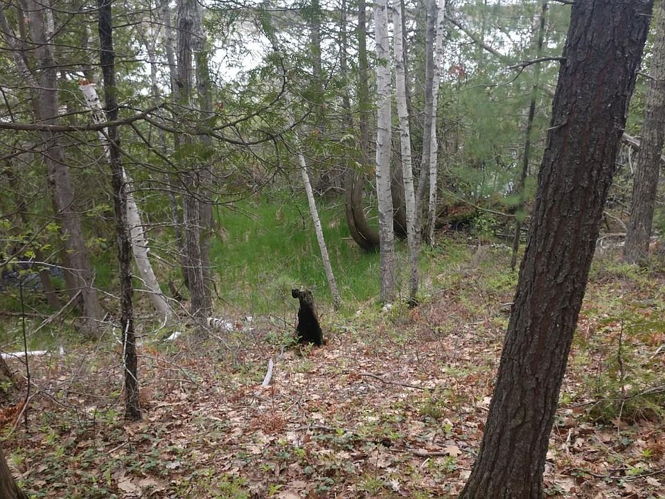 1st image of Chippewa Trl