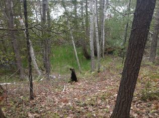 Chippewa Trl, Rogers City, MI 49779