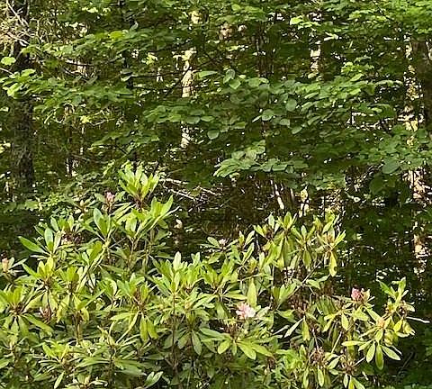 3rd image of Lot 185 N High Mountain Drive