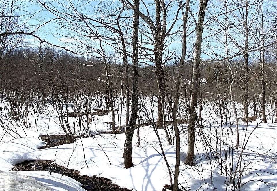 1st image of Town Line Rd Lot 44