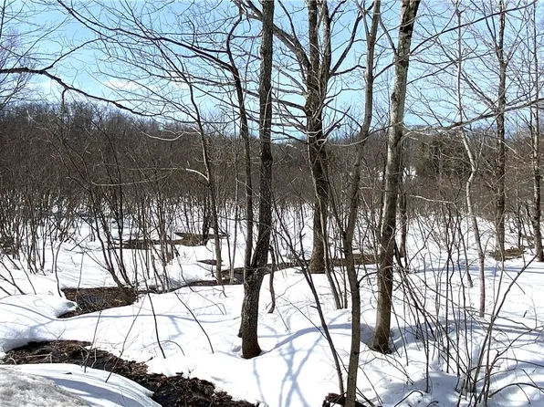 Town Line Rd Lot 44, Lorraine, NY 13659