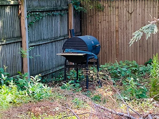 Rented by Bank Neary | media 1