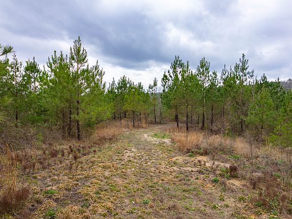 3rd image of 0 County Road 405