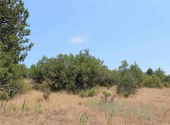 4th image of 1058 Crossbill Dr