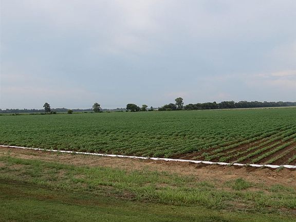 3rd image of 746 County Road 629