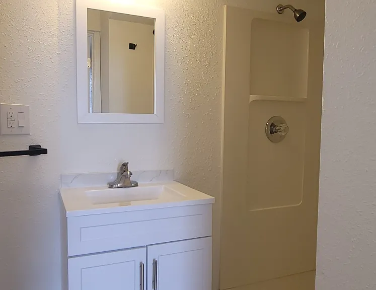 Vanity and Shower