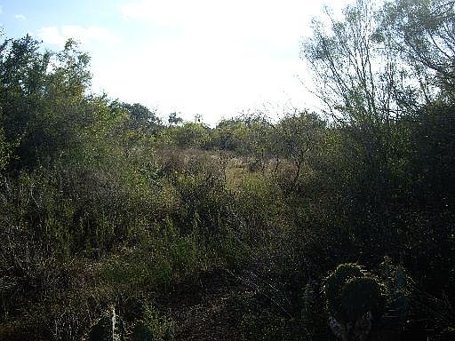 2nd image of 30 ACRES Ranch Rd 2504