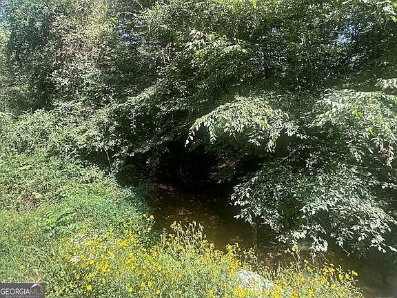 2nd image of 0 Millen Rd Tract 21