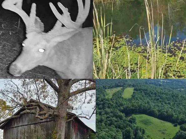 9999 Sinks Rd, Somerset, KY 42501