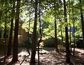 1st image of 9 E Plantation Hills Drive