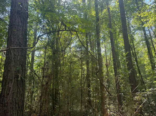 Hatcher Rd, Maben, MS 39750