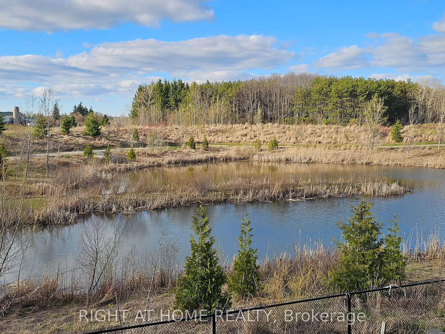 2 bed, $2,050 — Photo 4