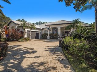 18705 Chemille Dr, Lutz, FL 33558