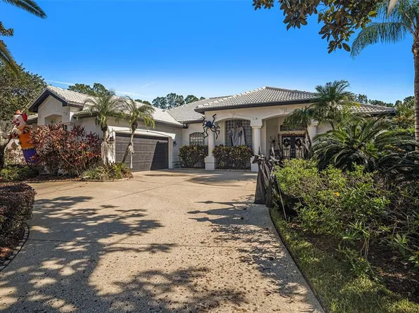 18705 Chemille Dr, Lutz, FL 33558