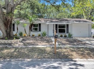 3723 Meadowbreeze Dr, Tampa, FL 33619
