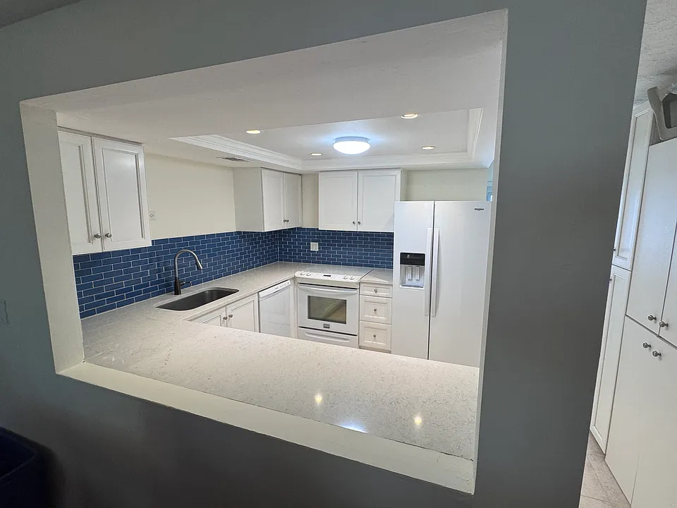 Newly renovated Kitchen. Backsplash. Upgraded cabinets. Quartz countertops, new dishwasher and refrigerator. Lots of cabinet space. New luxury vinyl flooring (same as Guest and Master Bathroom flooring).