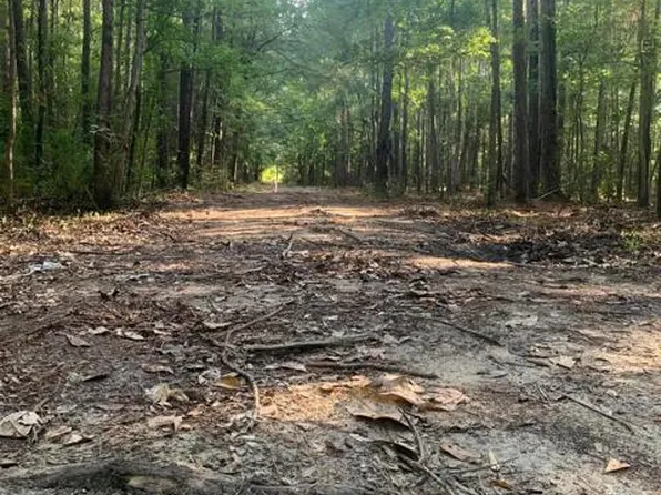 7251 George Washington Ln, Awendaw, SC 29429