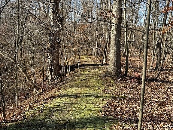 2nd image of Brown Dr