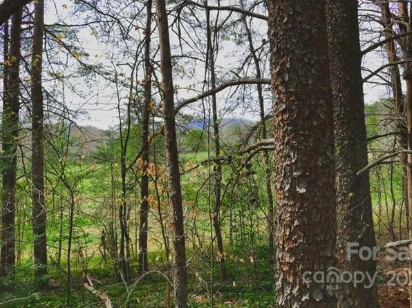 0 Westridge Dr #87, Lake Lure, NC 28746