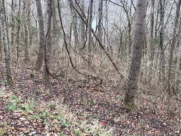 3rd image of 21 Aqua View Ln Lot 21