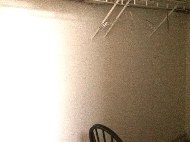 473 Virginia St #3 — Photo 20