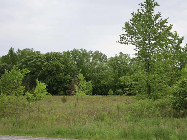 S Beyer Rd, Birch Run, MI 48415