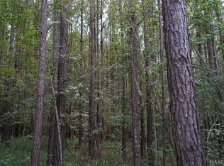 0 Leon Tower Rd, Brantley, AL 36009