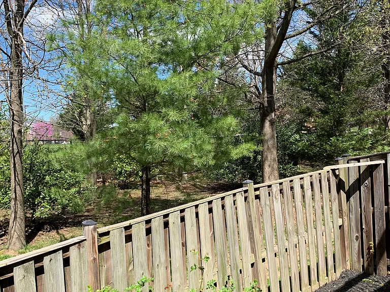 13270 Coppermill Dr — Photo 220