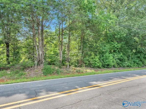 6.5 Roy Davis Rd, New Market, AL 35761