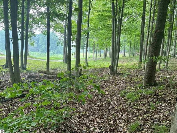 V/l 8 Forest Trl, Bellaire, MI 49615