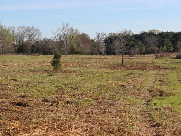 Fm 2208, Harleton, TX 75651