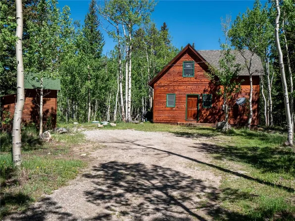 107 Silver Plume Rd, Alma, CO 80420