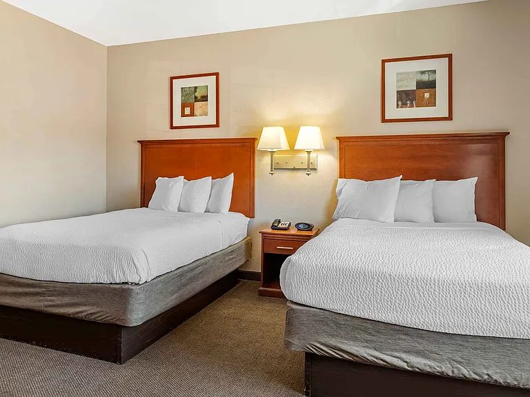 Studio Suite - 2 Full Beds