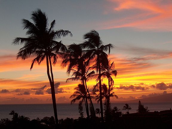 Great Sunsets nightly