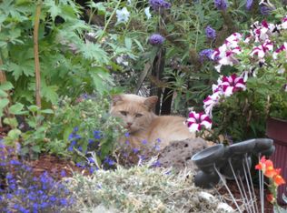 211 NW Canton St, John Day, OR 97845